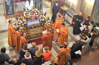 Vladyka Dionisij i plashchanytsia 2015