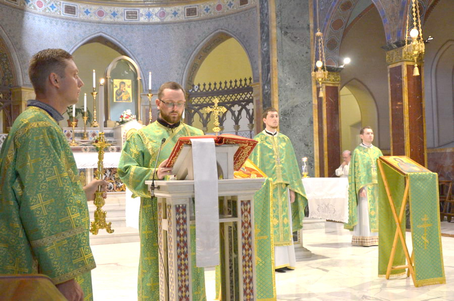 Maria Perpetuo Soccorso 2016